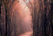 吉达联合总监：有意引进巴萨球员；球星加入有利沙特联赛发展.