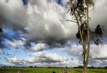 雷竞技:乒乓球仁川赛:国乒首日4胜1负!林高远顶住压力,首战逆转名将.