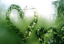 雷竞技：陕西联合技术总监埃德温专访：去竞争，去学习，去变得更好.